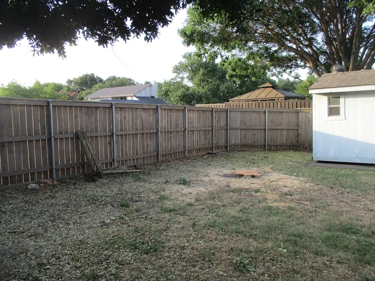 Cleared yard after professional tree removal in Paris Crossing